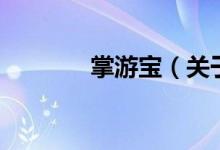 掌游寶（關(guān)于掌游寶的介紹）