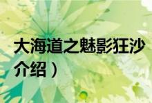 大海道之魅影狂沙（關(guān)于大海道之魅影狂沙的介紹）