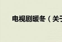 電視劇暖冬（關于電視劇暖冬的介紹）