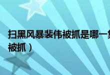 掃黑風暴裴偉被抓是哪一集（電視劇掃黑風暴裴偉在第26集被抓）