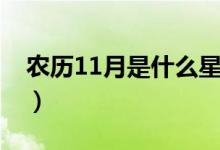 農(nóng)歷11月是什么星座（農(nóng)歷11月的星座介紹）