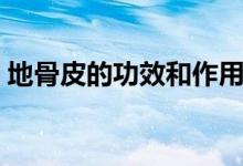地骨皮的功效和作用（地骨皮的功效和作用）