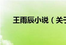 王雨辰小說（關(guān)于王雨辰小說的介紹）