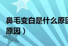 鼻毛變白是什么原因吃什么（鼻毛變白是什么原因）
