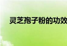 靈芝孢子粉的功效與作用（你了解了嗎）