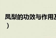 鳳梨的功效與作用及禁忌（鳳梨的功效與作用）