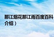 那江煙花那江雨百度百科（關(guān)于那江煙花那江雨百度百科的介紹）
