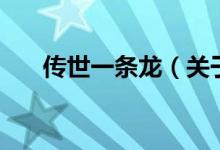 傳世一條龍（關(guān)于傳世一條龍的介紹）