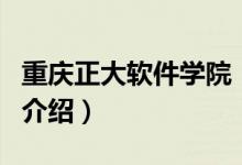重慶正大軟件學(xué)院（關(guān)于重慶正大軟件學(xué)院的介紹）