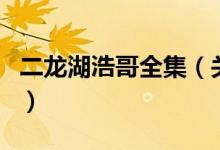 二龍湖浩哥全集（關(guān)于二龍湖浩哥全集的介紹）