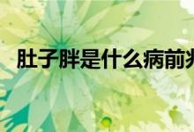 肚子胖是什么病前兆(肚子胖是什么原因)