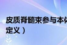 皮質(zhì)脊髓束參與本體感覺傳導(dǎo)嗎（皮質(zhì)脊髓束定義）