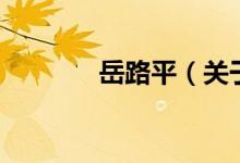 岳路平（關(guān)于岳路平的介紹）
