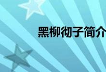 黑柳徹子簡(jiǎn)介（黑柳徹子是誰(shuí)）