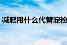 減肥用什么代替淀粉（減肥用什么代替主食）