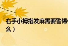右手小拇指發(fā)麻需要警惕什么（右手小拇指發(fā)麻需要警惕什么）