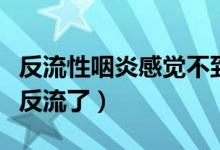 反流性咽炎感覺不到反流（反流性咽炎是什么反流了）