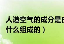 人造空氣的成分是由什么組成的（人造空氣由什么組成的）