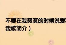 不要在我寂寞的時(shí)候說愛我歌詞（不要在我寂寞的時(shí)候說愛我歌簡(jiǎn)介）