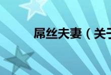 屌絲夫妻（關(guān)于屌絲夫妻的介紹）