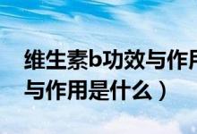 維生素b功效與作用和副作用（維生素b功效與作用是什么）