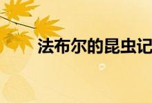 法布爾的昆蟲記介紹（昆蟲記簡介）