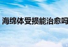 海綿體受損能治愈嗎（海綿體受損能自愈嗎）