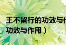 王不留行的功效與作用及副作用（王不留行的功效與作用）