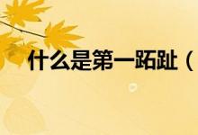 什么是第一跖趾（什么是第一跖趾關(guān)節(jié)）