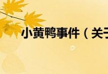小黃鴨事件（關(guān)于小黃鴨事件的介紹）