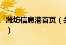 濰坊信息港首頁（關于濰坊信息港首頁的介紹）