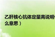 乙肝核心抗體定量高說明什么意思（乙肝核心抗體定量是什么意思）