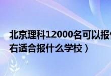 北京理科12000名可以報什么學(xué)校（北京高考位次10000左右適合報什么學(xué)校）
