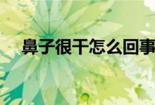 鼻子很干怎么回事(鼻子很干怎么回事)