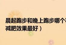 晨起跑步和晚上跑步哪個(gè)減肥效果好（晨跑和晚上跑步哪個(gè)減肥效果最好）