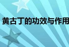 黃古丁的功效與作用（古古丁的功效與作用）