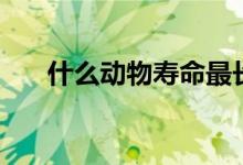 什么動物壽命最長（壽命最長的動物）