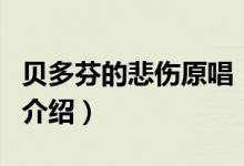 貝多芬的悲傷原唱（關(guān)于貝多芬的悲傷原唱的介紹）