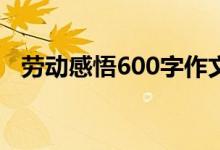 勞動(dòng)感悟600字作文（勞動(dòng)感悟作文范文）