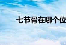 七節(jié)骨在哪個位置（七節(jié)骨是什么）