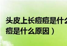 頭皮上長(zhǎng)痘痘是什么原因引起的（頭皮上長(zhǎng)痘痘是什么原因）