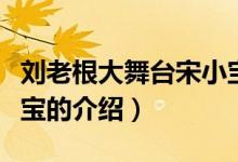 劉老根大舞臺(tái)宋小寶（關(guān)于劉老根大舞臺(tái)宋小寶的介紹）