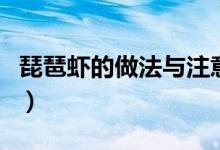 琵琶蝦的做法與注意事項(xiàng)（正宗琵琶蝦的做法）