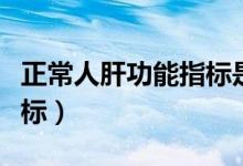 正常人肝功能指標(biāo)是多少（正常人的肝功能指標(biāo)）