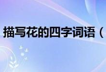描寫(xiě)花的四字詞語(yǔ)（什么詞語(yǔ)是描寫(xiě)花朵的）