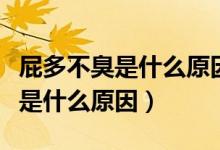 屁多不臭是什么原因引起的怎么辦（屁多不臭是什么原因）