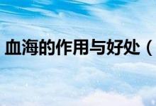 血海的作用與好處（關(guān)于血海穴的好處介紹）