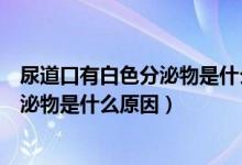 尿道口有白色分泌物是什么原因吃什么藥（尿道口有白色分泌物是什么原因）