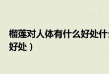 榴蓮對(duì)人體有什么好處什么壞處（榴蓮對(duì)什么人身體有什么好處）