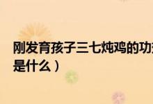 剛發(fā)育孩子三七燉雞的功效與作用（三七燉雞的功效與作用是什么）
